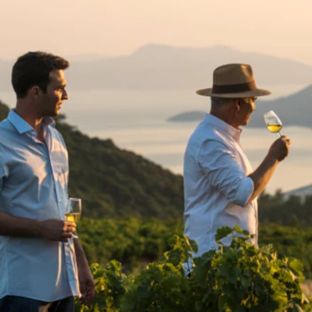 Metaxa Master Transition 2024