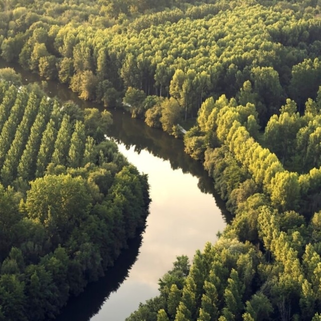 Rémy Cointreau Anticiper Le Déficit De Ressource En Eau