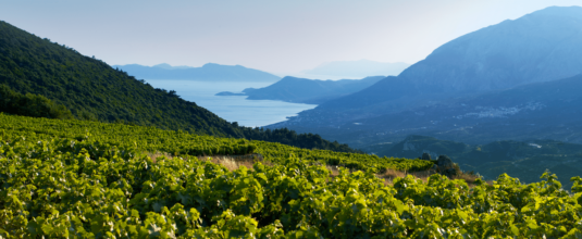 Remy Cointreau Rapport Annuel 2024 Des Terroirs Hp Min