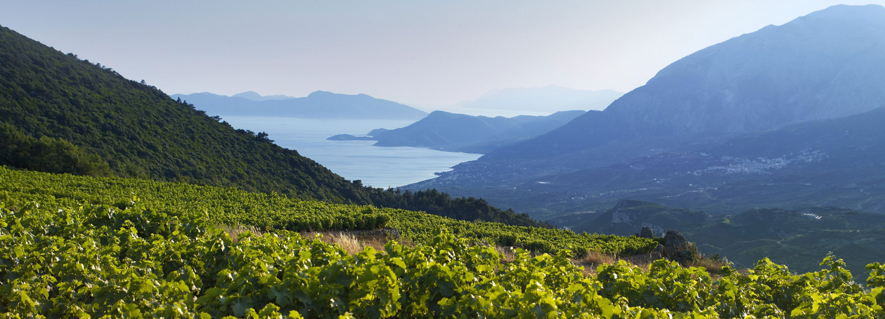 Remy Cointreau Rapport Annuel 2024 Des Terroirs Min