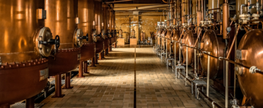 Remy Cointreau Rapport Annuel 2024 Du Temps