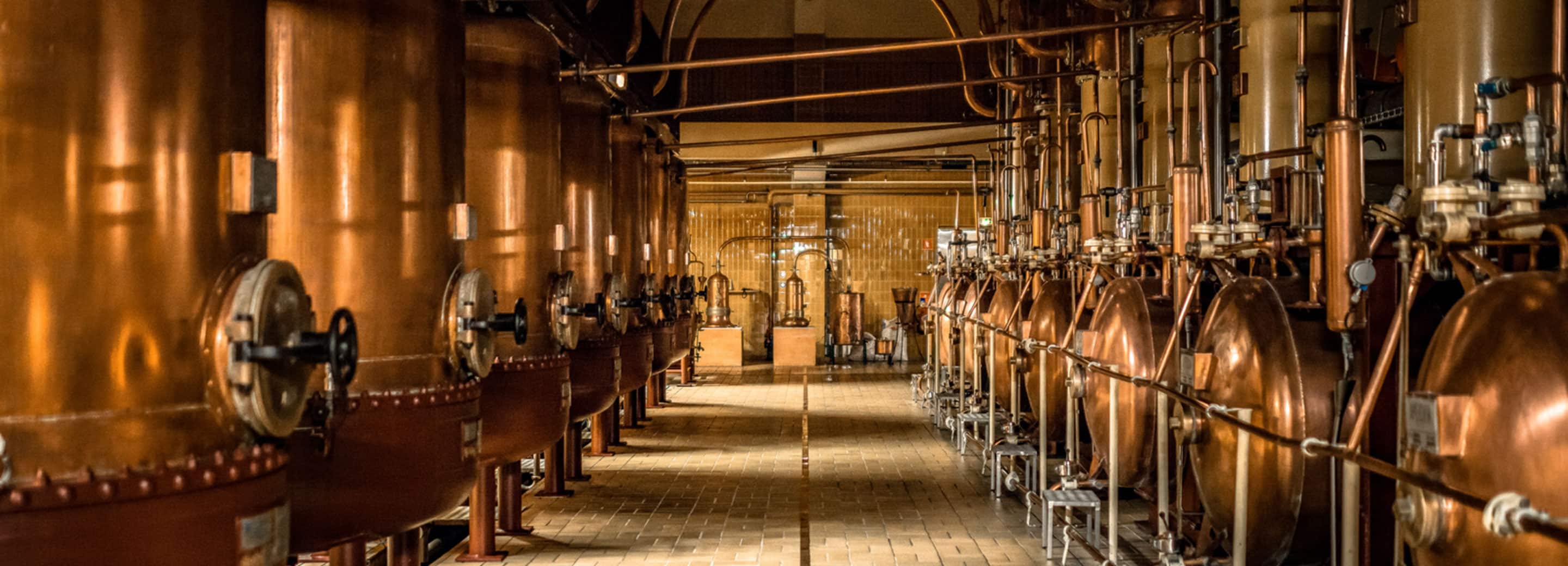 Remy Cointreau Rapport Annuel 2024 Du Temps