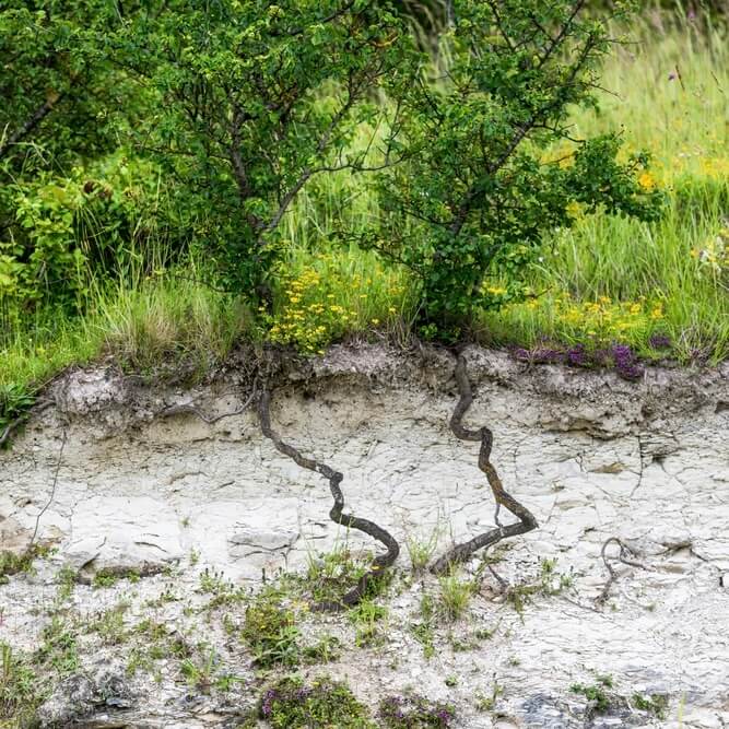 Remy Martin Photo Terroir Geological Section 5